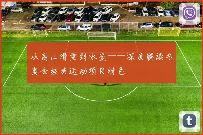 从高山滑雪到冰壶——深度解读冬奥会经典运动项目特色