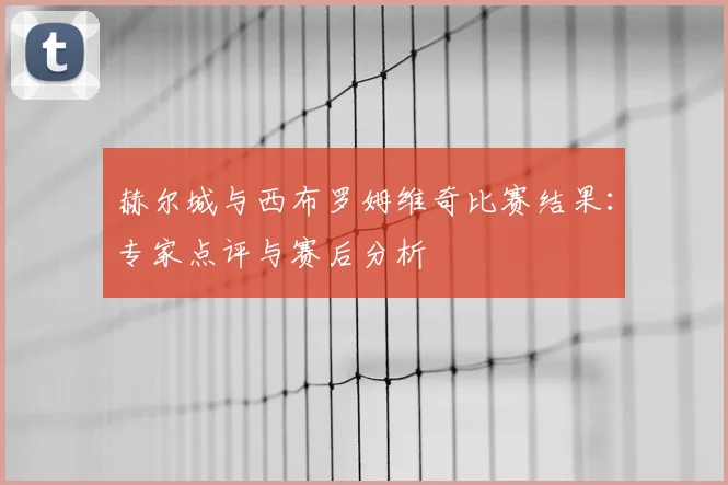 赫尔城与西布罗姆维奇比赛结果：专家点评与赛后分析