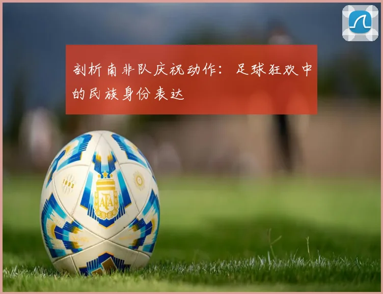 剖析南非队庆祝动作：足球狂欢中的民族身份表达