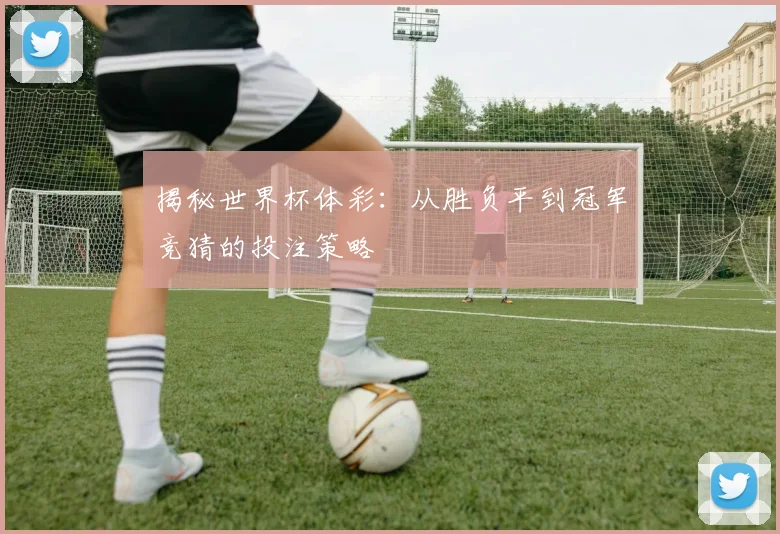 揭秘世界杯体彩：从胜负平到冠军竞猜的投注策略