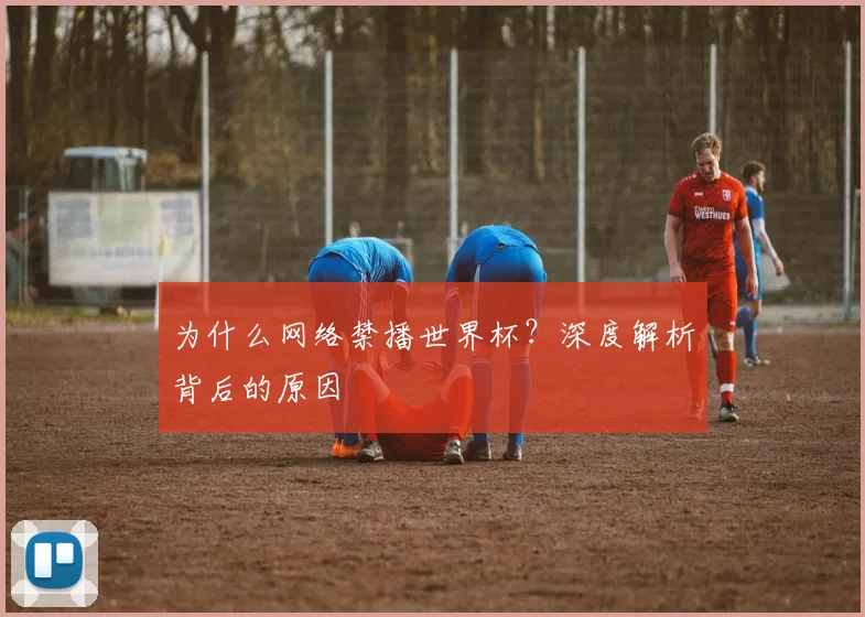 为什么网络禁播世界杯?深度解析背后的原因
