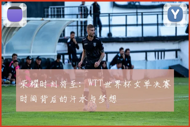 荣耀时刻将至：WTT世界杯女单决赛时间背后的汗水与梦想