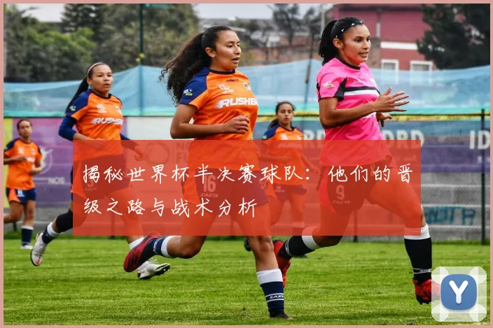揭秘世界杯半决赛球队：他们的晋级之路与战术分析