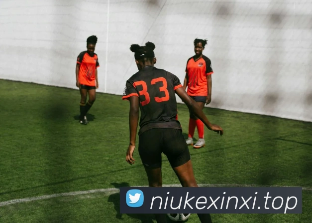 完美体育首页官网发展历程